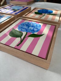 Image 2 of Pink hydrangea 