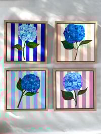 Image 3 of Pink hydrangea 