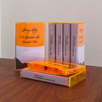 Terry Riley - A Rainbow In Curved Air (1969) - Cassette