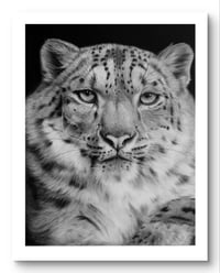 Image 1 of Giclee print “Snow Royal” 2025