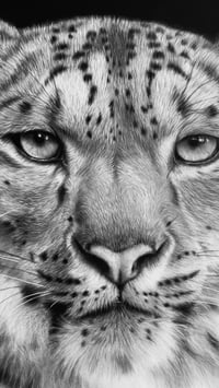 Image 2 of Giclee print “Snow Royal” 2025