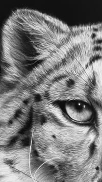Image 3 of Giclee print “Snow Royal” 2025