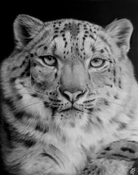 Image 1 of 16x20 Original art “Snow Royal” 2025