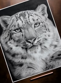 Image 6 of 16x20 Original art “Snow Royal” 2025