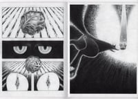 Image 5 of The Wish Comic