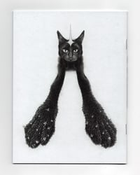 Image 2 of The Wish Comic