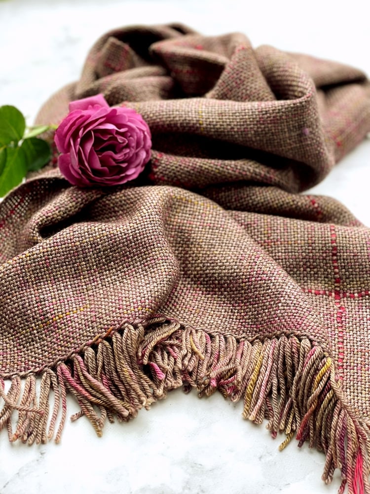Image of Boronia