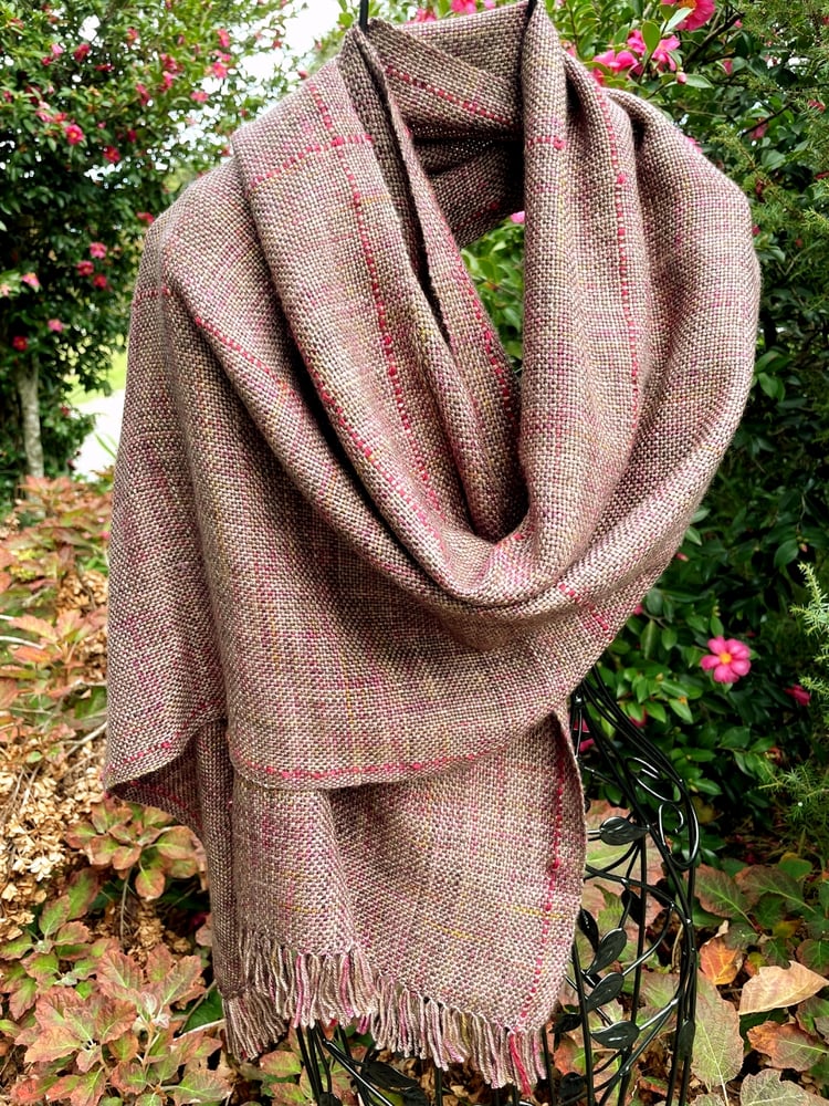 Image of Boronia