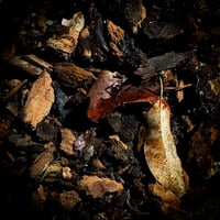 Image 3 of Deep Nature : Handmade Incense