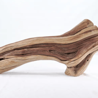 Image 3 of Seawood Designs