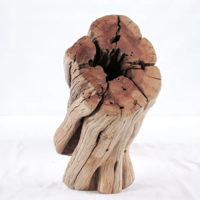 Image 1 of Seawood Designs