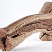 Image 2 of Seawood Designs