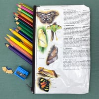 Image 3 of Moths, Death’s Head Moth, Luna Moth, Book Page Pencil Case