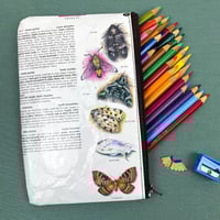 Image 2 of Moths, Death’s Head Moth, Luna Moth, Book Page Pencil Case