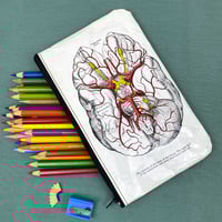 Image 1 of Anatomy of the Brain, Book Page Pencil Case
