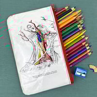 Image 1 of Anatomy of the Arteries of the Neck, Book Page Pencil Case