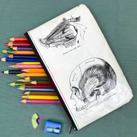 Image 1 of Anatomy of the Skull, Book Page Pencil Case
