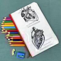 Image 1 of Anatomy of a Heart, Book Page Pencil Case