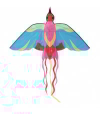 Image 1 of Moulin Roty Bird Kite