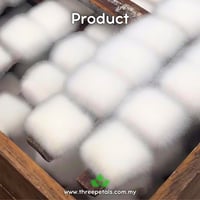 Image 2 of Hairy Tofu Mold (Mucor Tofus) Live Mycelium Mushroom Culture Spawn Seed