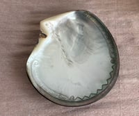 Image 1 of Bora Bora Mother of Pearl Jewellery Dish