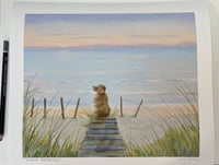 Image 2 of Sunset Stillness