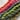 Cotton perle 8 single skein