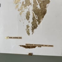 Image 3 of Les reflets du couchant