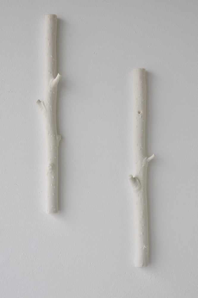 Image of TWIGS