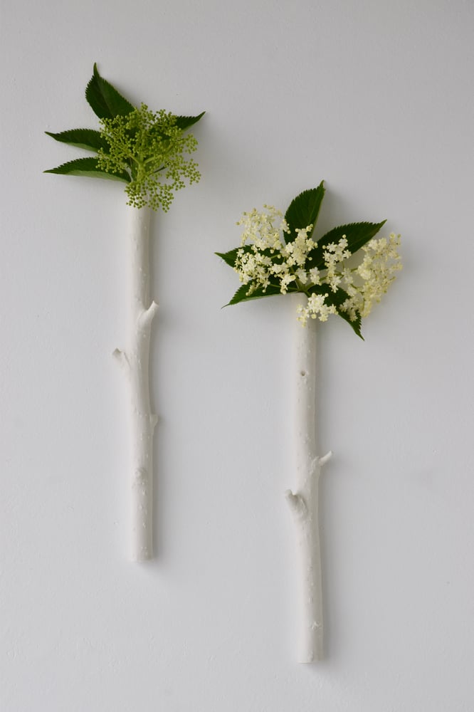 Image of TWIGS