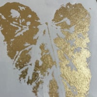Image 5 of Les reflets du couchant