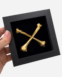 Badger crossbones