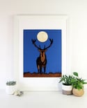 Framed Stag Under The Moon Woodcut - Summer Sample Sale 2025