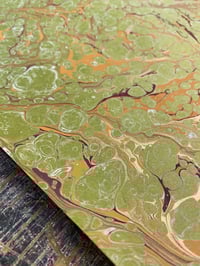 Image 2 of One of a kind No.9 Olive Grove