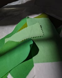 Image 2 of Print Development Consultation