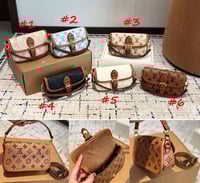 Crossbody 1