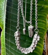 Image 1 of Teeth Necklaces 