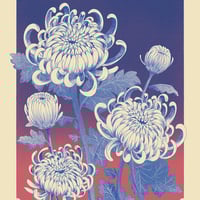 Image 3 of Kiku (chrysanthèmes) — Print 30x40 cm