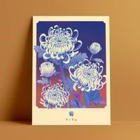Image 1 of Kiku (chrysanthèmes) — Print 30x40 cm