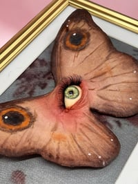 Image 2 of Butterfl'Eye – Surrealist Frame with Butterfly and Eye – OOAK Sculpture – Unique Piece