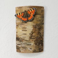 Image 2 of Small Tortoiseshell
