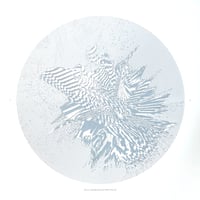 Plate 18 Duotone