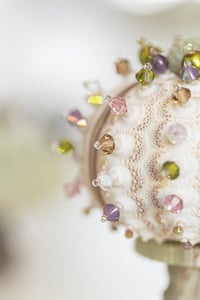 Image 3 of  Prionocidaris Baculosa Pastel
