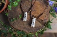 Image 1 of Collana Amuleto - con Falange di Cervo-