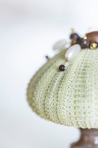Image 3 of Oursin Vert et Bronze