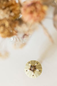 Image 2 of Oursin Vert et Bronze