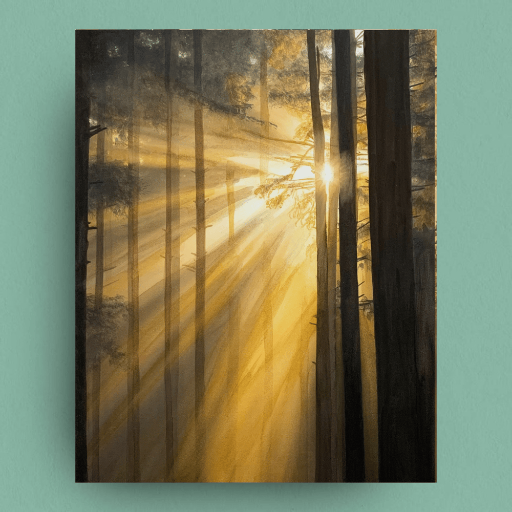 Image of Forest Light