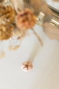 Image 2 of Oursin Rose et Or