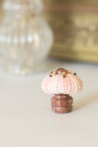 Image 1 of Oursin Rose et Or