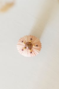 Image 4 of Oursin Rose et Or